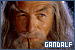  Mithrandir: Gandalf